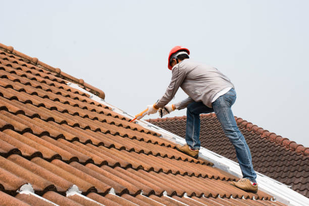 Best Tile Roofing Installation  in New Haven, WV
