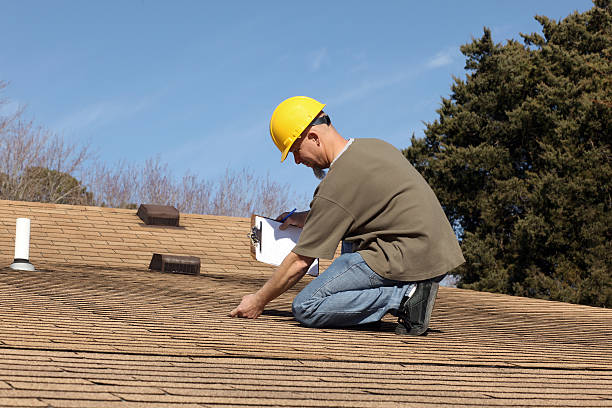Best Skylight Installation and Repair  in New Haven, WV